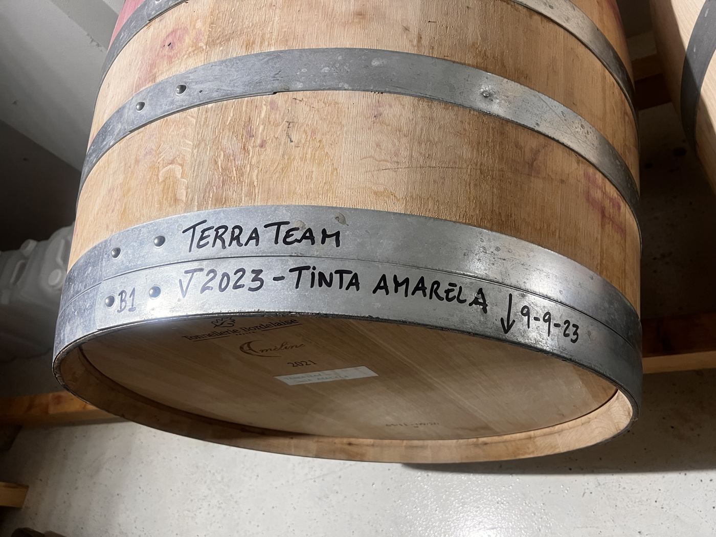 Barrica de Tinta Amarela, vindima 2023